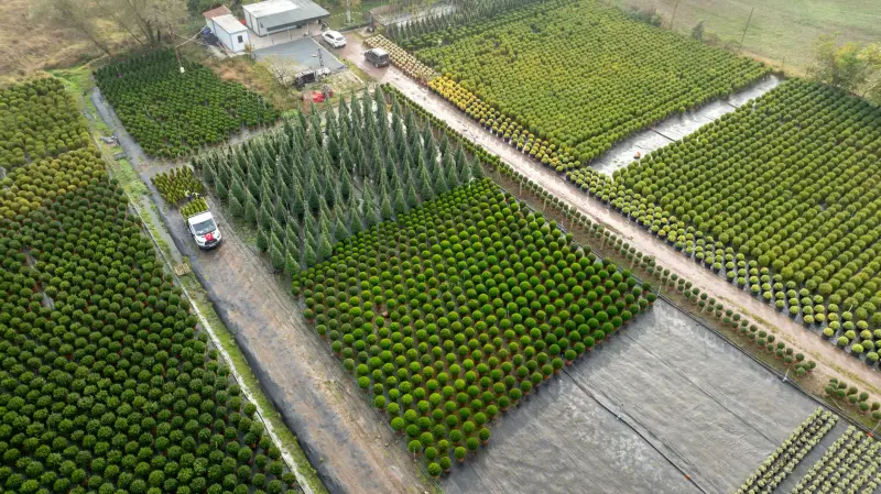 MES系统与车间看板在湘潭制造业中的实时数据采集应用