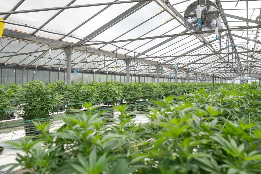 MES系统数据采集技术在注塑车间的应用方案解析